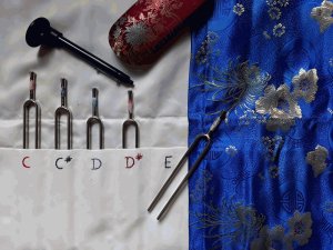 Matériel pour un soin avec des diapasons
